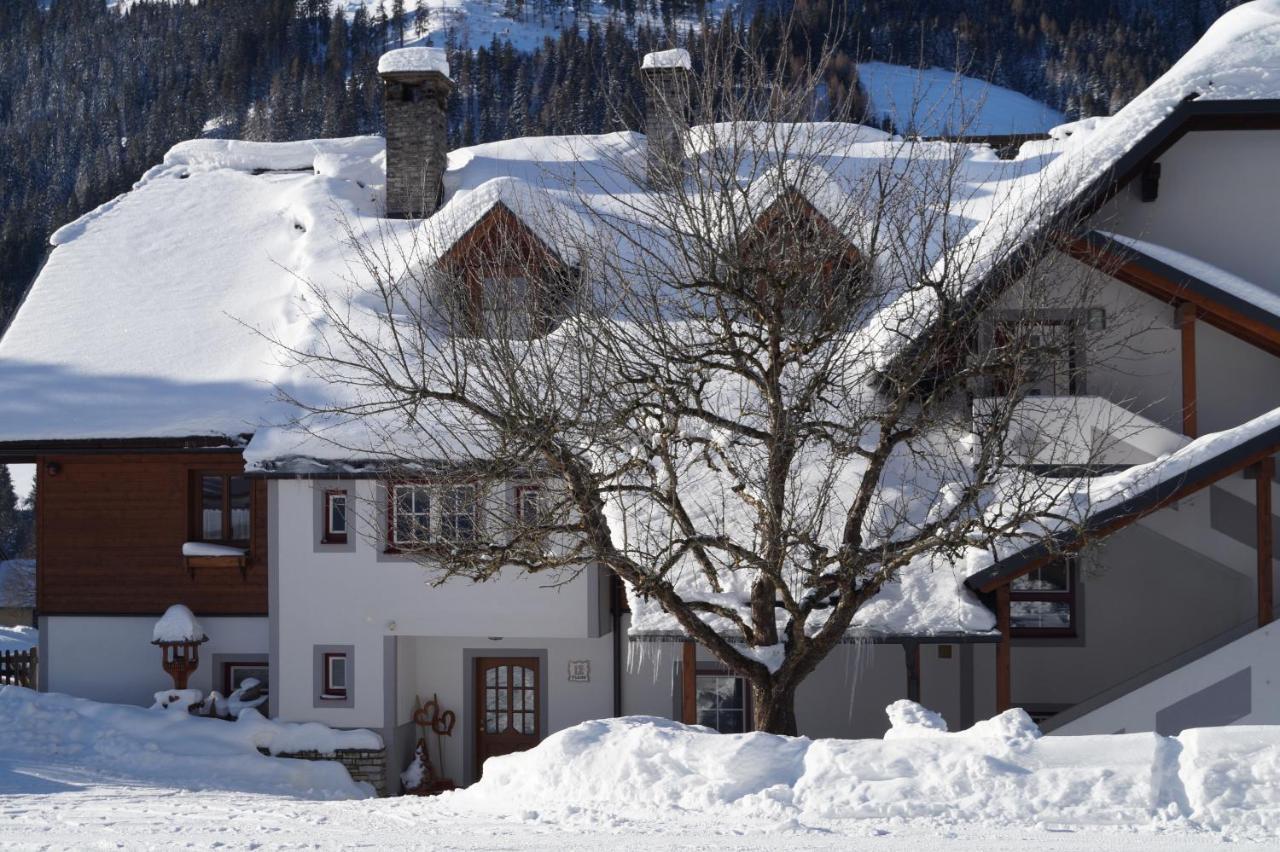 Biobauernhof Spieszschweiger Vila Sankt Nikolai im Solktal Exterior foto