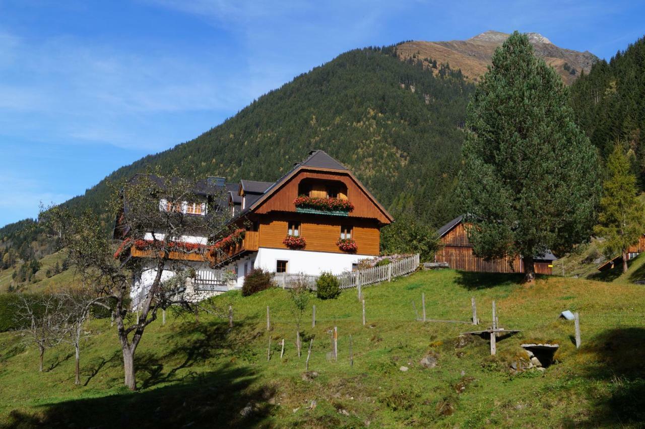 Biobauernhof Spieszschweiger Vila Sankt Nikolai im Solktal Exterior foto