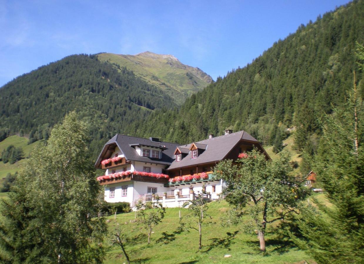 Biobauernhof Spieszschweiger Vila Sankt Nikolai im Solktal Exterior foto